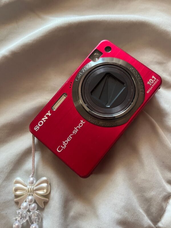 sony cybershot digital camera dsc-w170