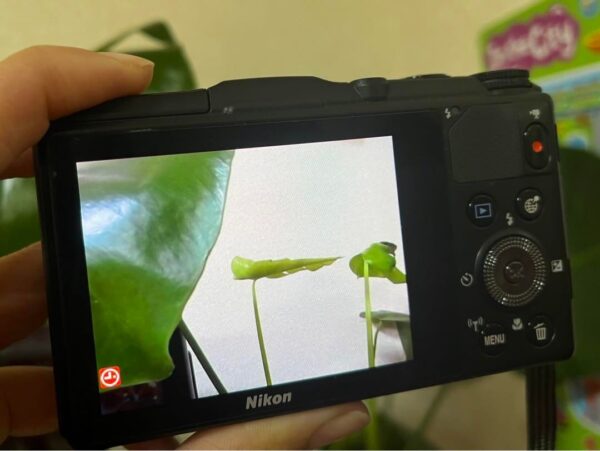 Nikon Coolpix S9700 - Image 2